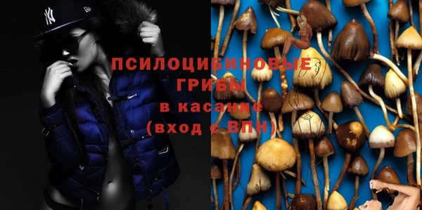 мескалин Баксан