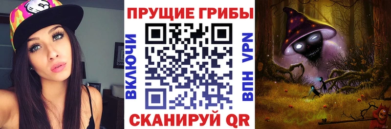 blacksprut сайт  Зея  Галлюциногенные грибы Psilocybine cubensis  где купить  
